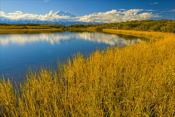 Reflection Pond, Denali Natl Park, AK