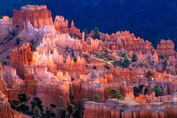 Bryce Canyone Natl Park, UT